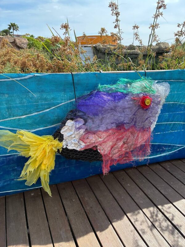 OCEANFEST 25 Creatividad Komba Educación en el Oceanogràfic