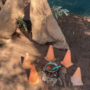 Construcciones Summer Kamp by Komba